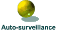 Auto-surveillance