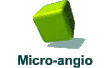 Micro-angio